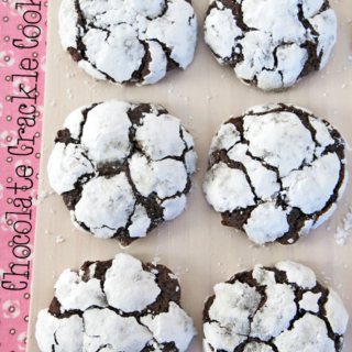 CHOCOLATE CRACKLE COOKIES