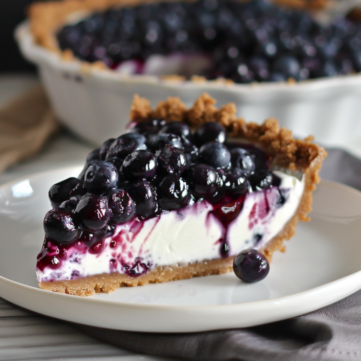 No Bake Frozen Blueberry Pie