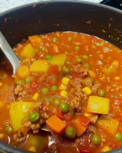 TOMATO HAMBURGER VEGETABLE SOUP